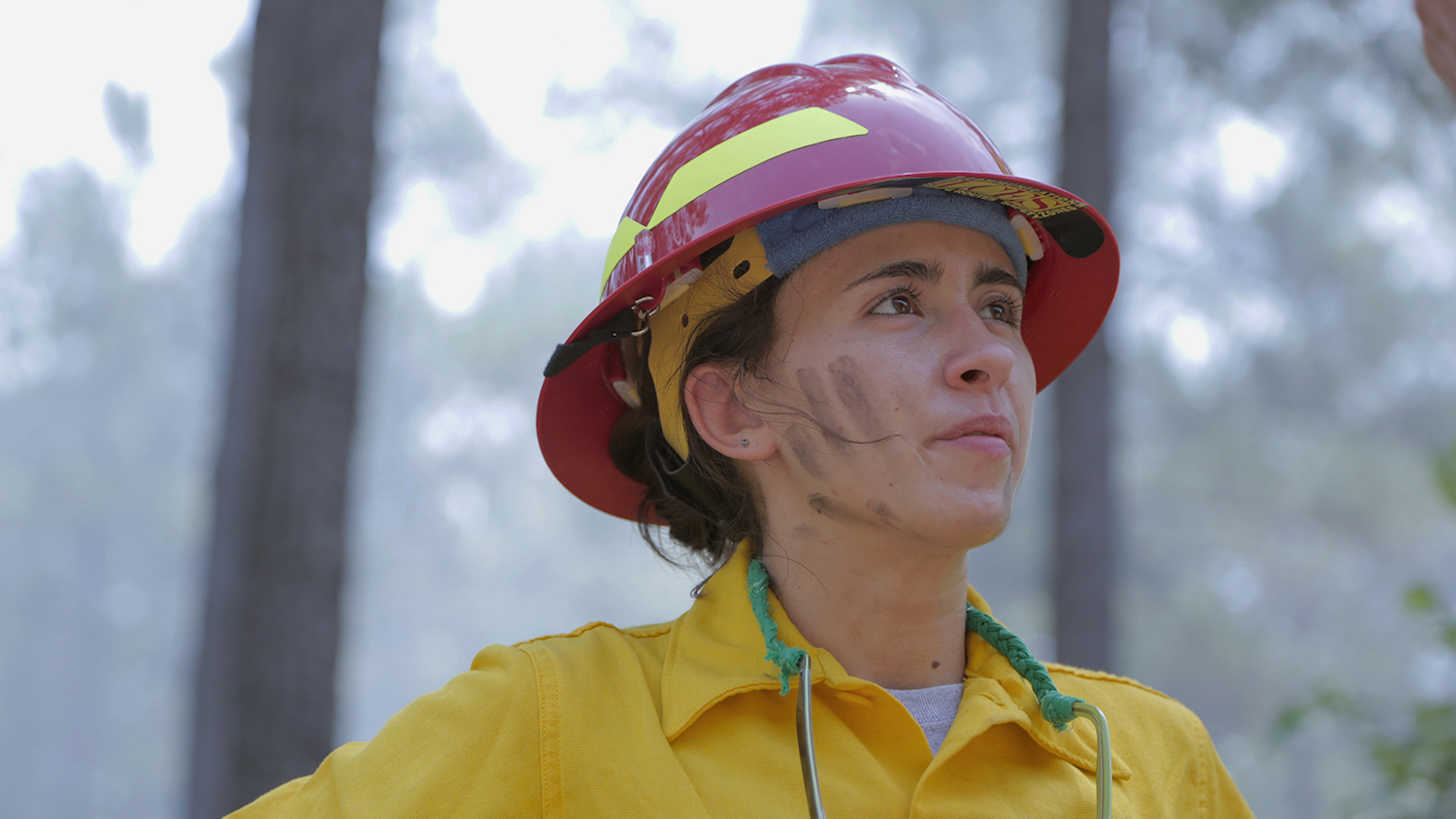 Forestry Student in the Field - Not Your Average Summer - College of Natural Resources at NC State University