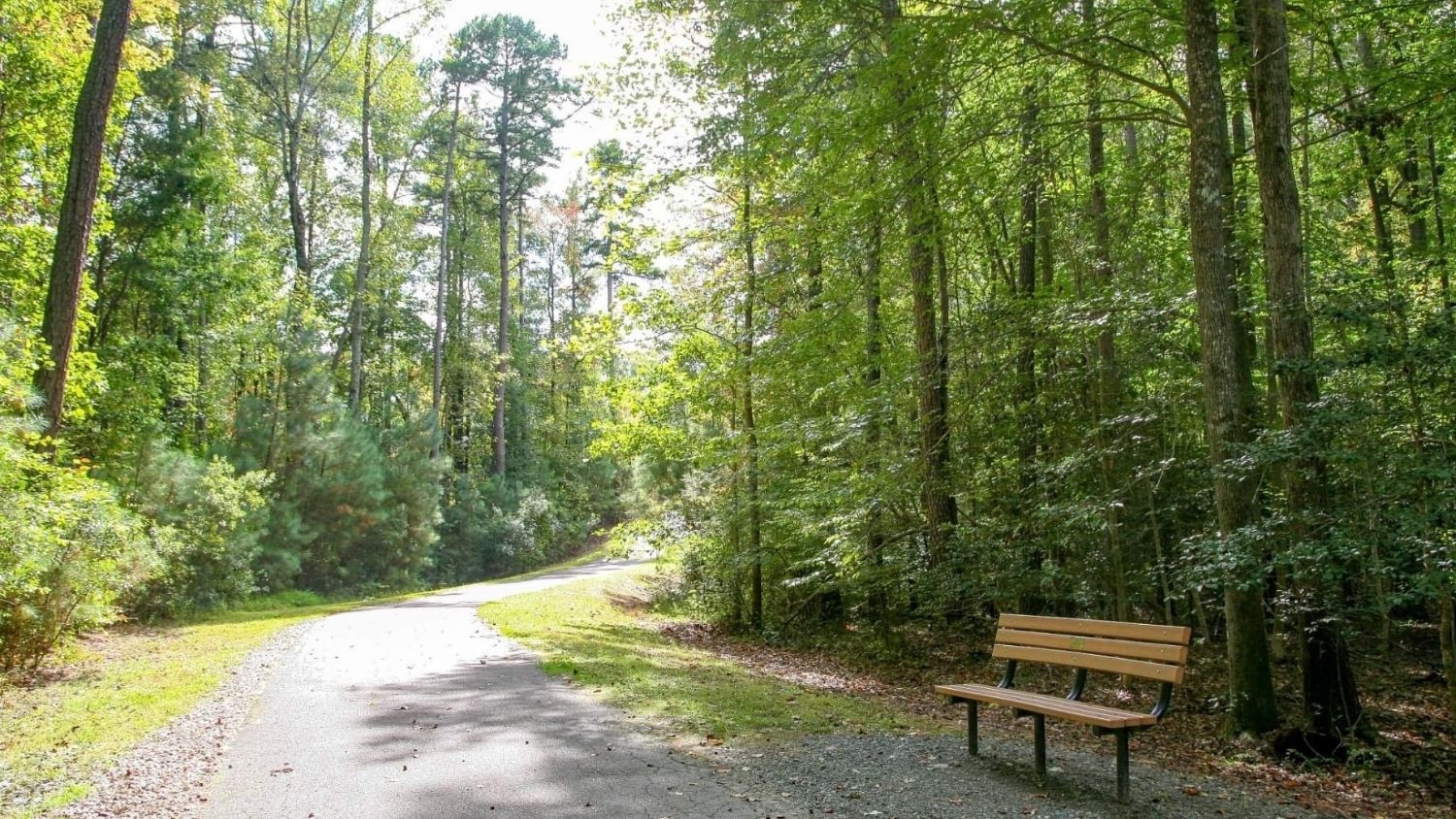 A park in Raleigh, North Carolina - Outdoor Activity Tied to Mental Health of Teens, Young Adults During COVID-19 Pandemic - College of Natural Resources at NC State University