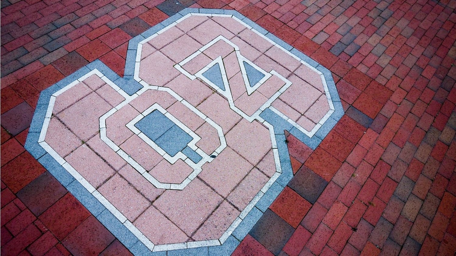 NC State logo in the bricks off Varsity Drive - Sonja Stills to Lead Diversity Seminar at NC State - College of Natural Resources at NC State University