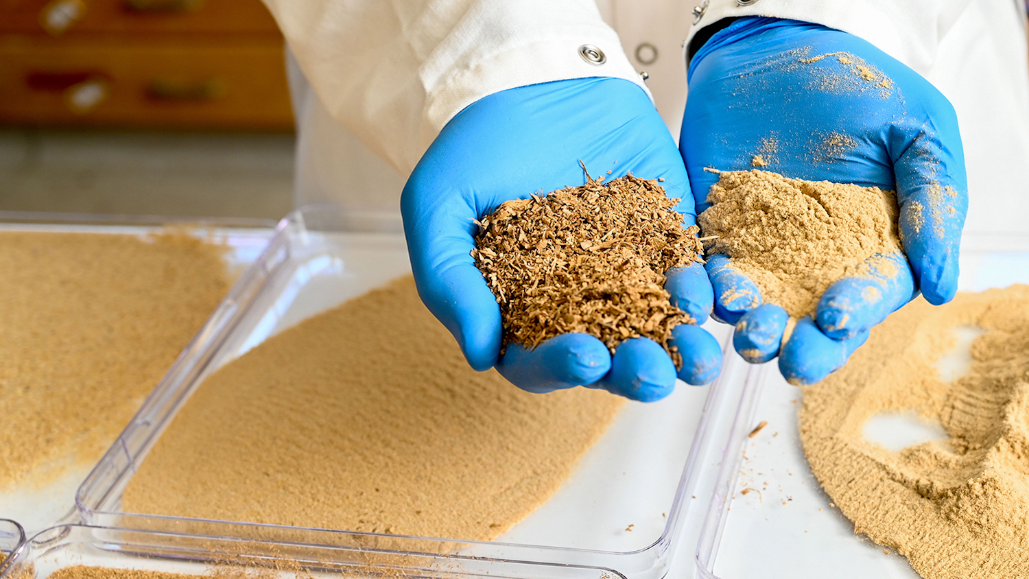 NC State professor Lokendra Pal holds two samples of sawdust powder in his hands - New Biomaterial Could Save Our Oceans from Plastic Pollution - College of Natural Resources News - NC State University