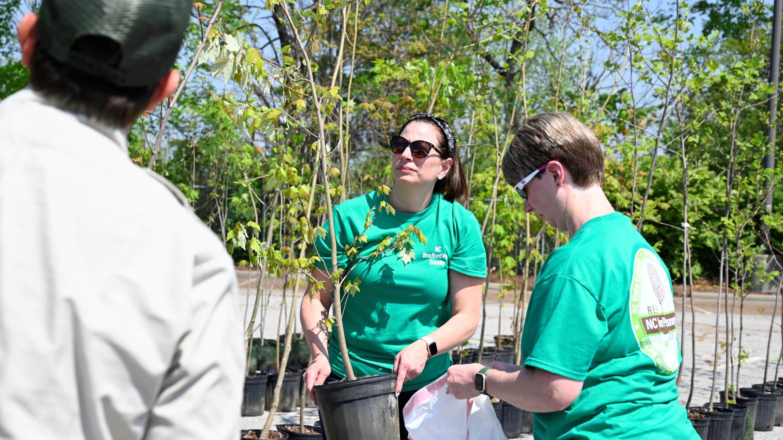 Women handling a Bradford Pear tree - 'Bradford Pear Bounty' Returns to North Carolina - College of Natural Resources NC State University