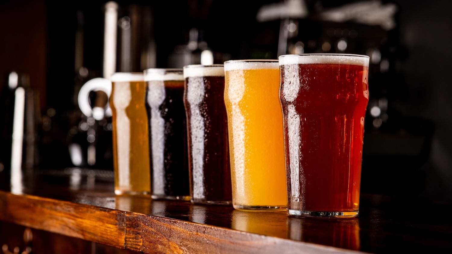 Several beer glasses lined up on a wooden bar counter. - Global Trade Tensions Threaten North Carolina's Craft Brewing Industry, Expert Says - College of Natural Resources at NC State