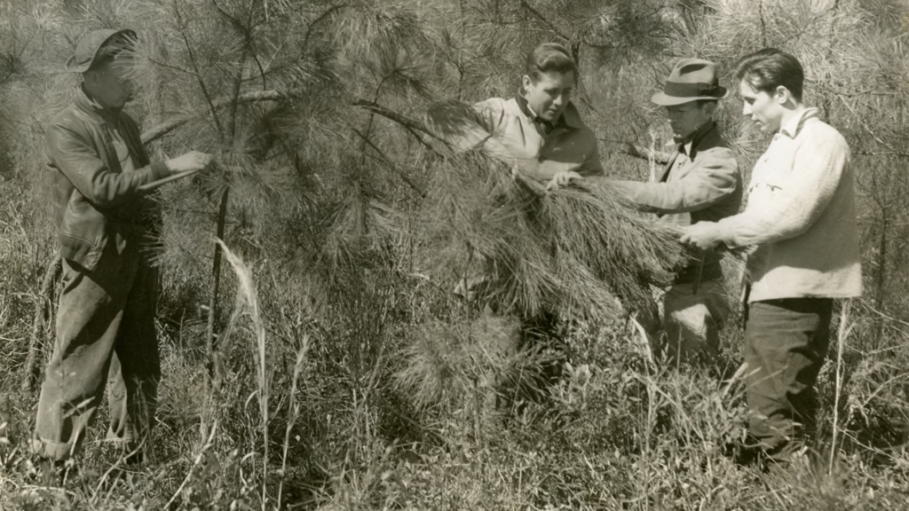 Historical Forestry Students - History - College of Natural Resources at NC State